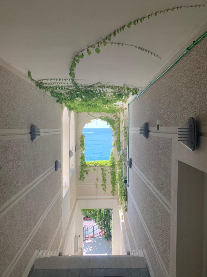 Sound Of The Sea Apartment Sveti Stefan Ngoại thất bức ảnh